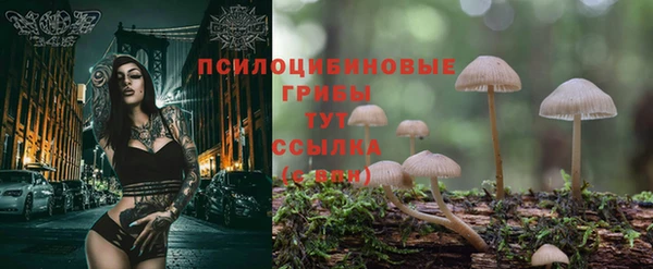 MDMA Premium VHQ Богданович